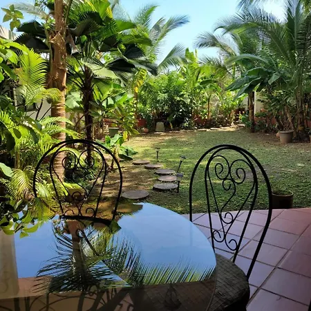 Casa Enayati - Entire 4 Bedroom Home Coco Del Mar